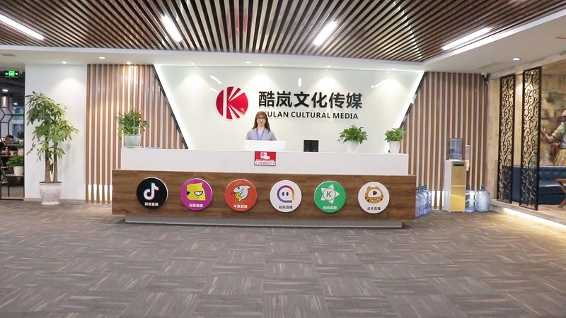 品牌策划公司资质代办：了解关键步骤与注意事项